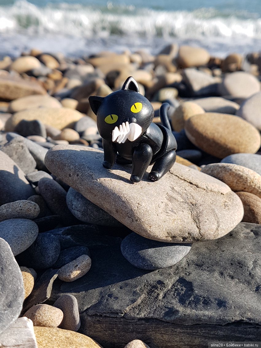 Черный кот (кошка) и магия | Бэйбики Черный кот (кошка) и магия