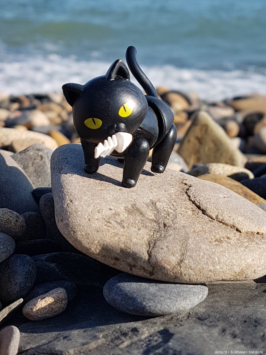 Черный кот (кошка) и магия | Бэйбики Черный кот (кошка) и магия