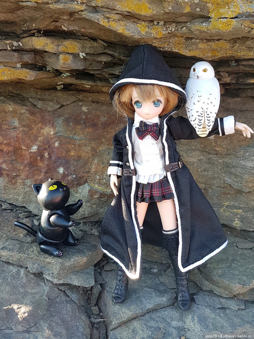 Черный кот (кошка) и магия | Бэйбики Черный кот (кошка) и магия