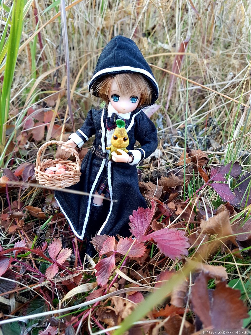 Мандрагора — Другие хобби и увлечения: сад