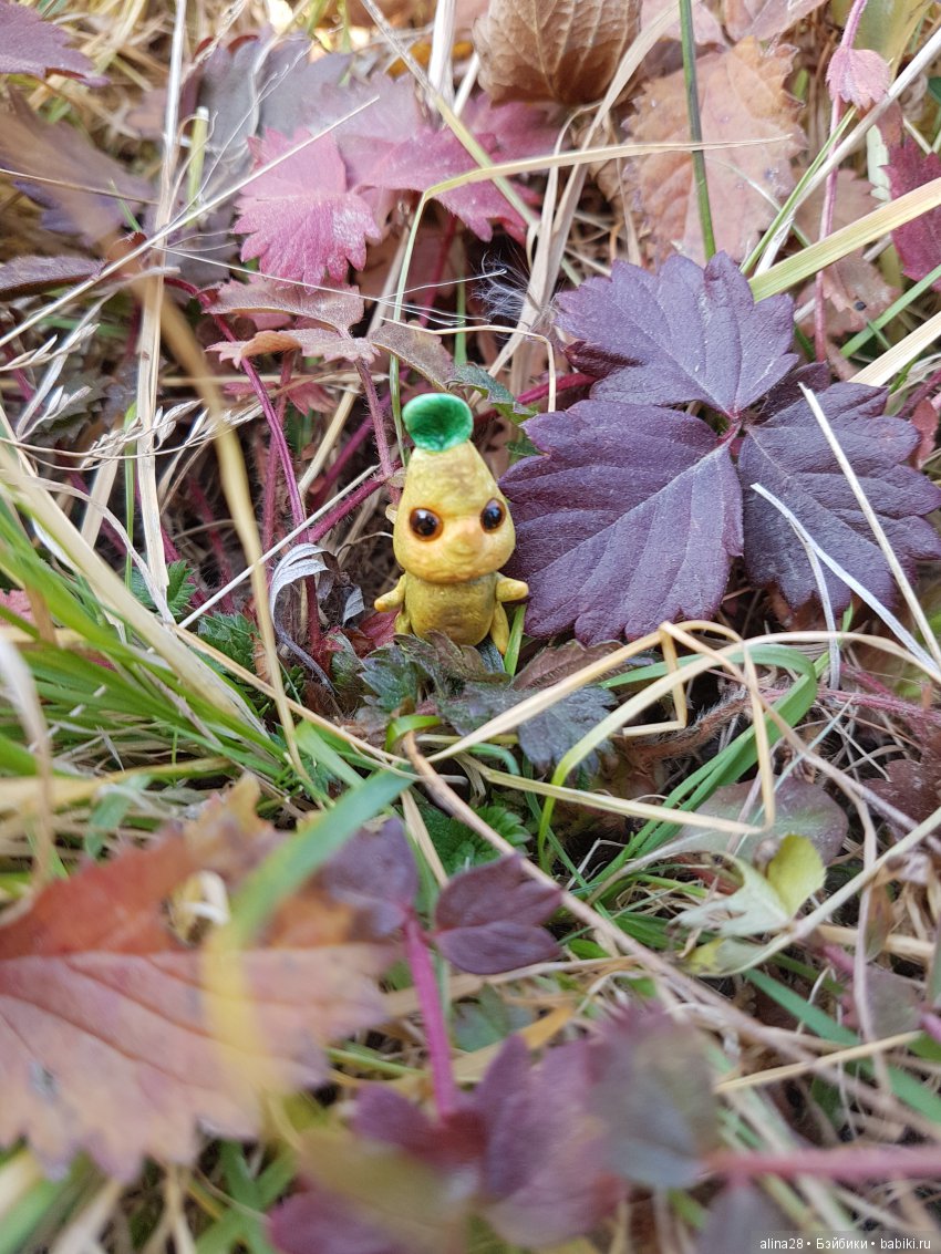 Мандрагора — Другие хобби и увлечения: сад