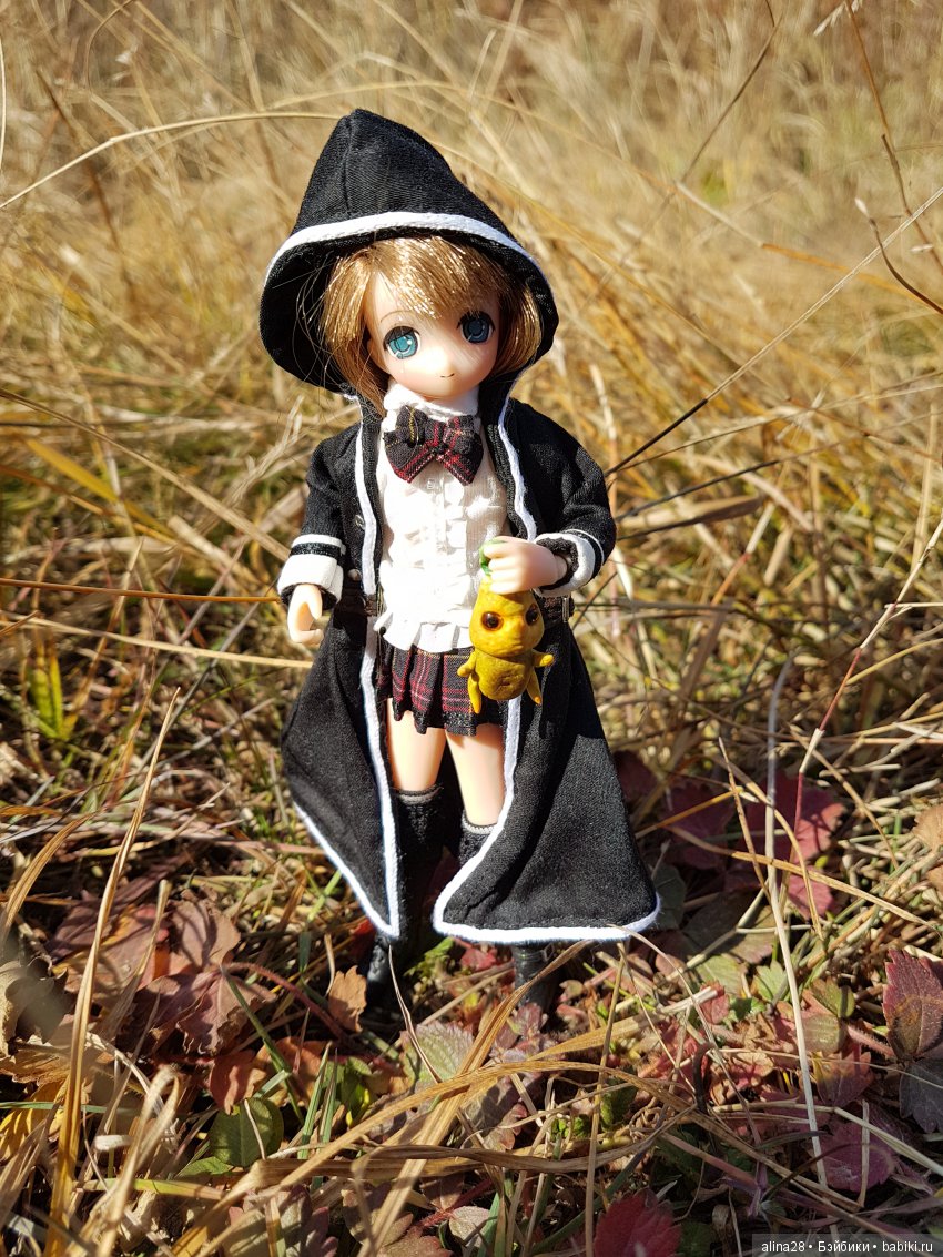 Мандрагора — Другие хобби и увлечения: сад