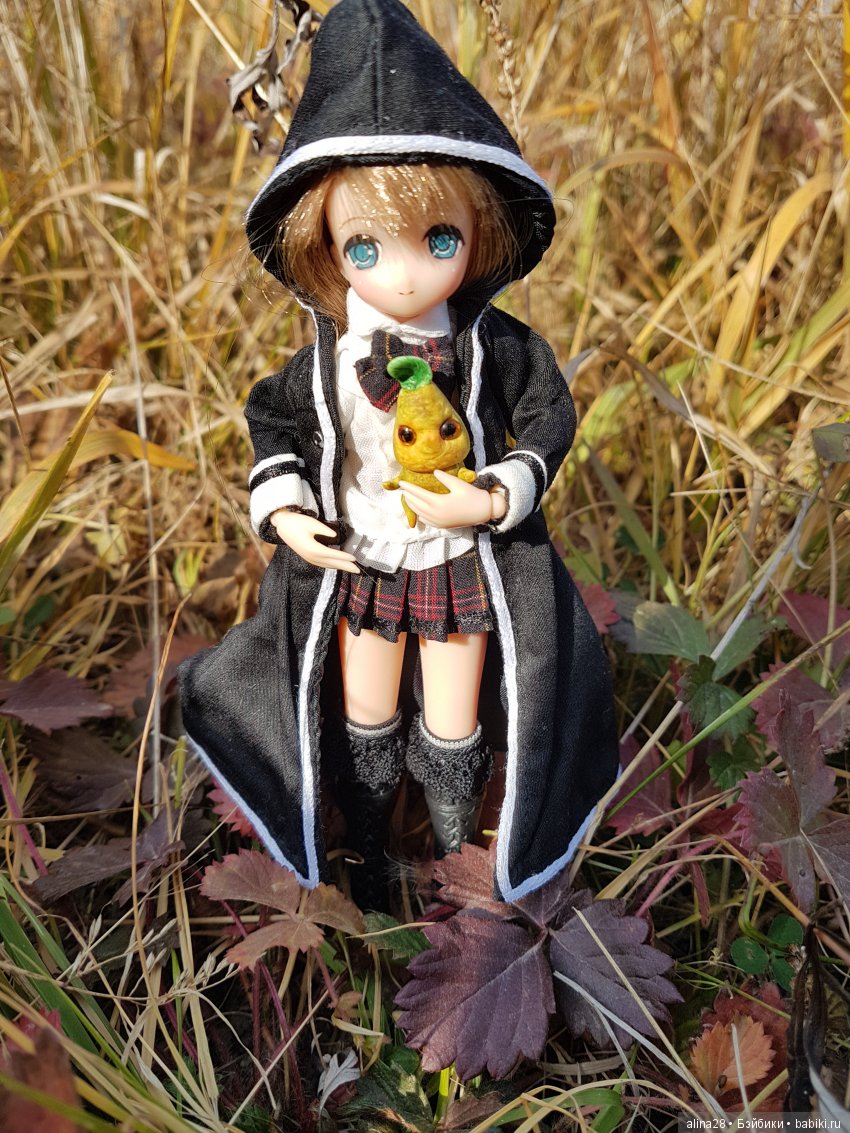 Мандрагора — Другие хобби и увлечения: сад