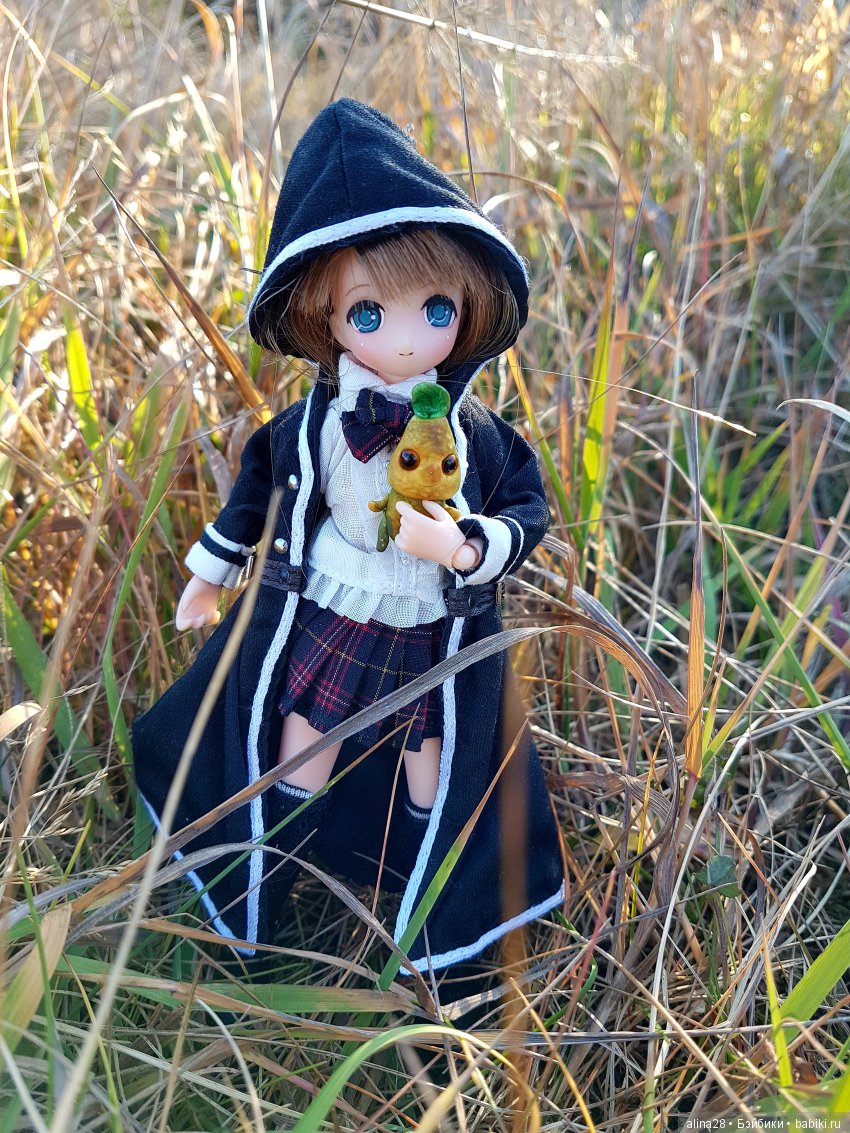 Мандрагора — Другие хобби и увлечения: сад