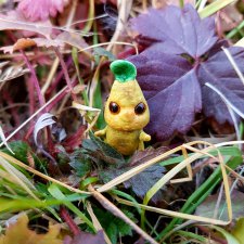 Мандрагора