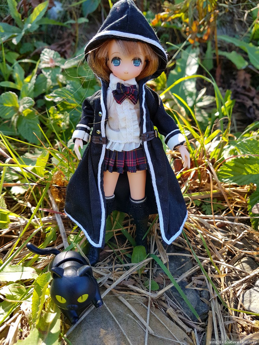 Мандрагора — Другие хобби и увлечения: сад (фото 8)