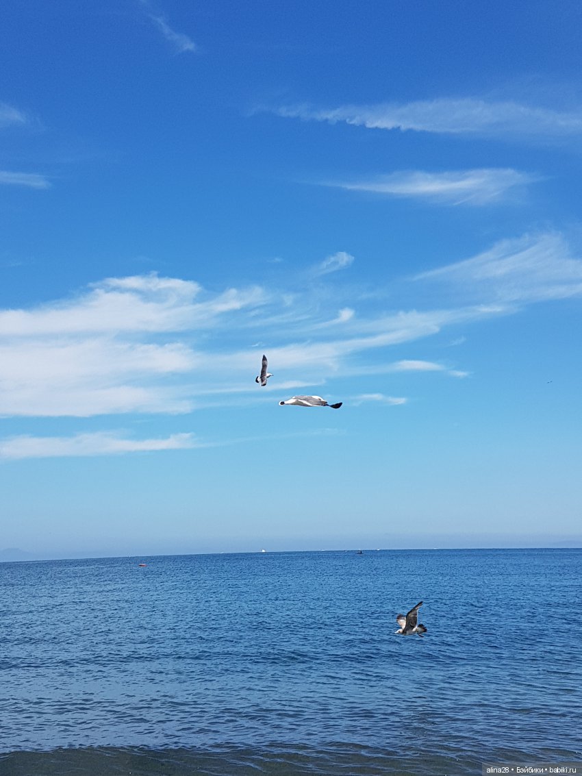 Осень на двоих — Аниме куклы (MJD/Винил): Imomo (фото 7)