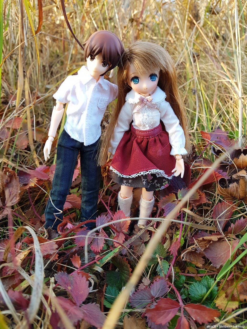 Осень на двоих — Аниме куклы (MJD/Винил): Imomo