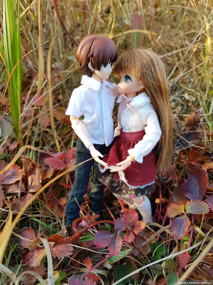 Осень на двоих — Аниме куклы (MJD/Винил): Imomo (фото 2)