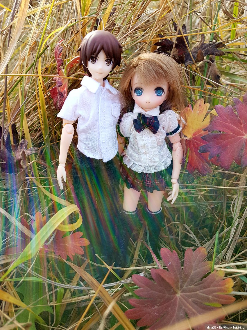 Осень на двоих — Аниме куклы (MJD/Винил): Imomo (фото 4)