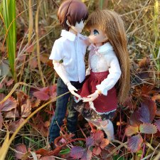 Осень на двоих