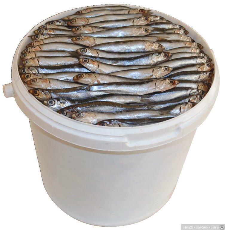 Моя малышка Аня (Cu-poche Anne)