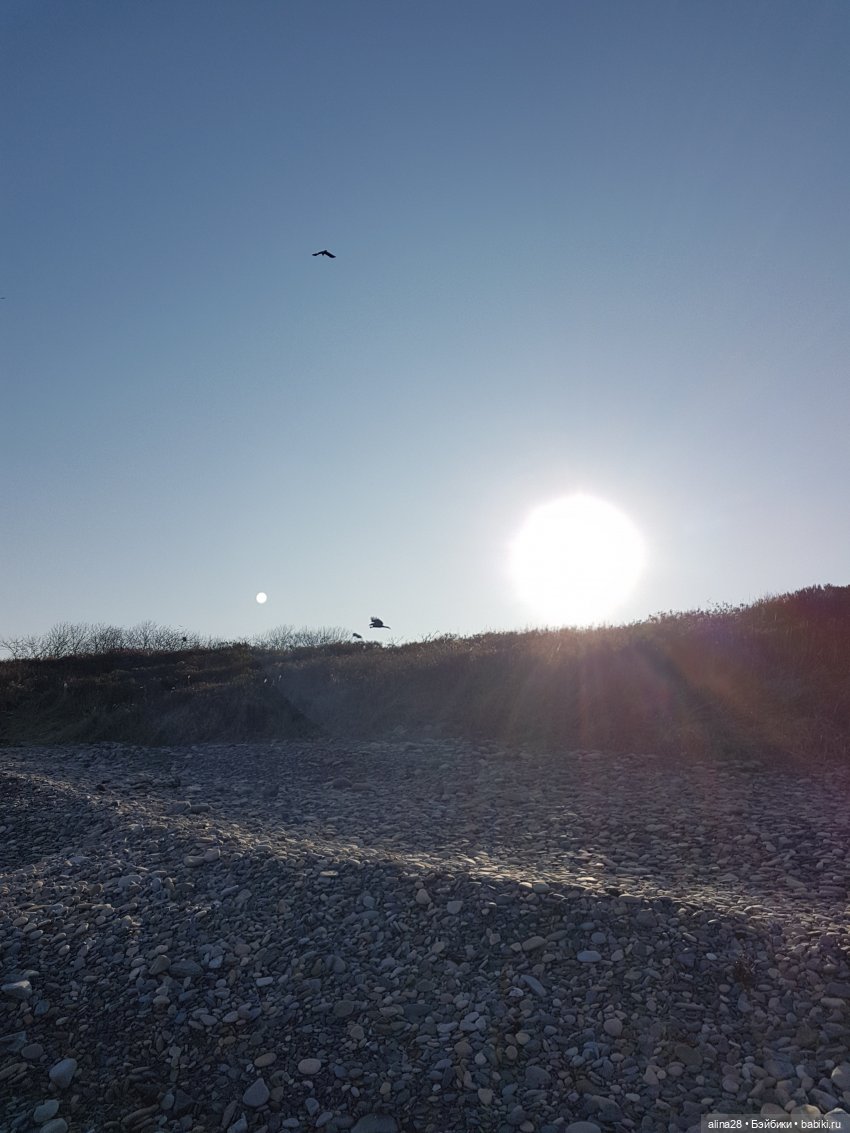 Лила. Душа романтика — Аниме куклы (MJD/Винил): Imomo (фото 4)