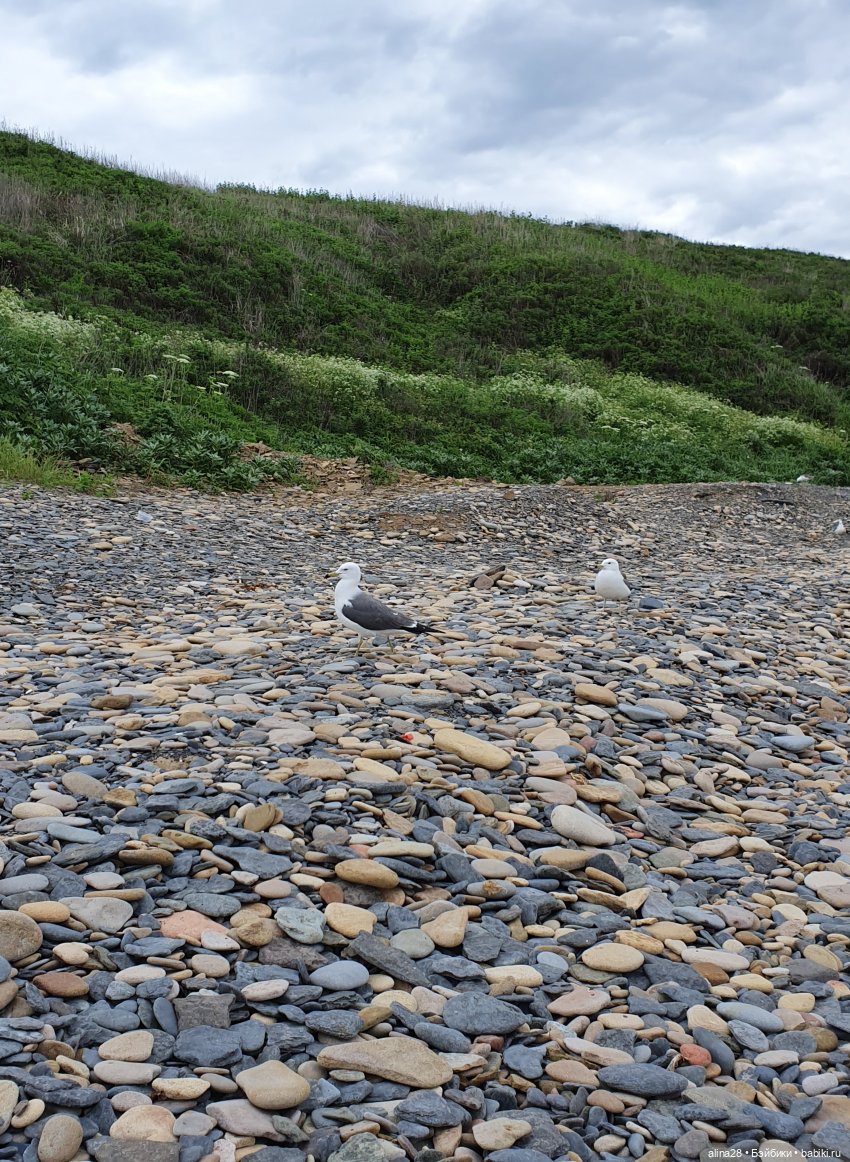 Лила. Душа романтика — Аниме куклы (MJD/Винил): Imomo (фото 5)