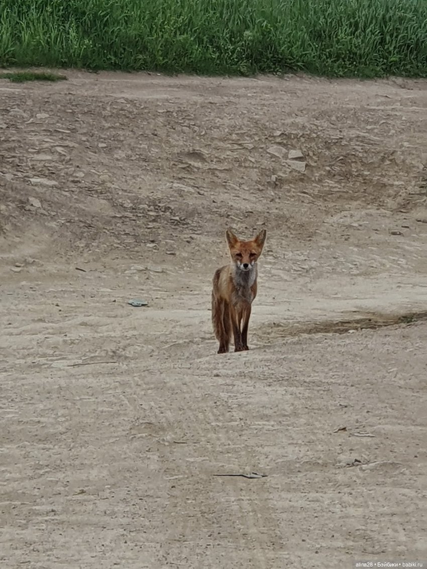 Ючи и море (моретерапия) — Аниме куклы (MJD/Винил): Imomo