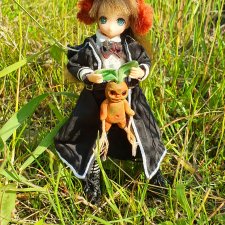 Как  волшебница Юми  мандрагору искала