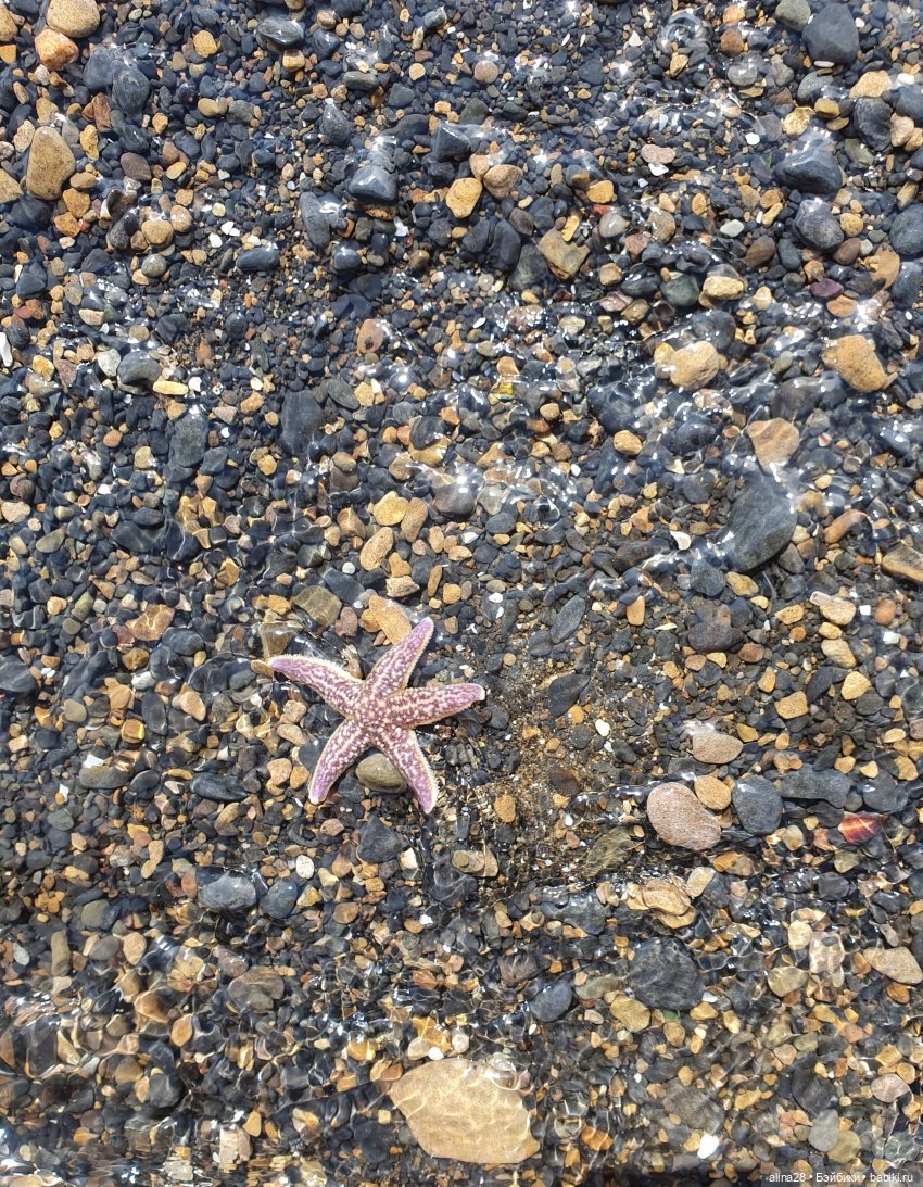 Ючи и море (моретерапия) — Аниме куклы (MJD/Винил): Imomo (фото 9)