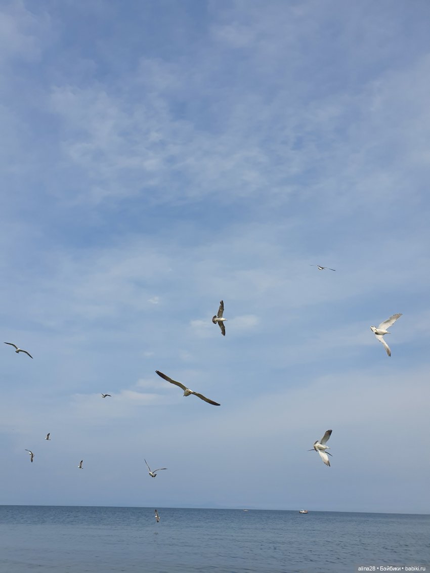 Ючи и море (моретерапия) — Аниме куклы (MJD/Винил): Imomo (фото 8)