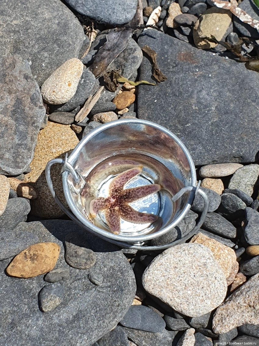 История одной рыбалки, двух котов, не считая рыбака