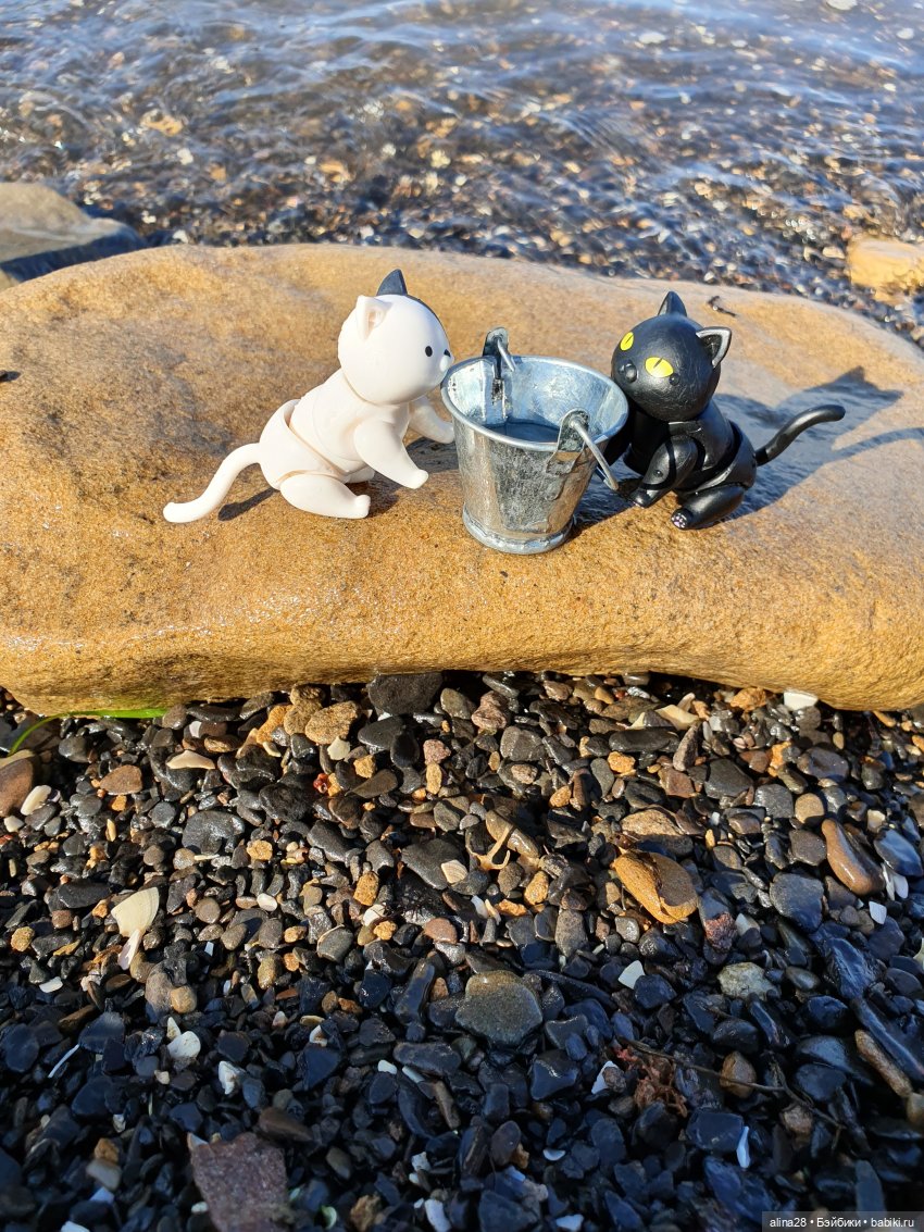 История одной рыбалки, двух котов, не считая рыбака