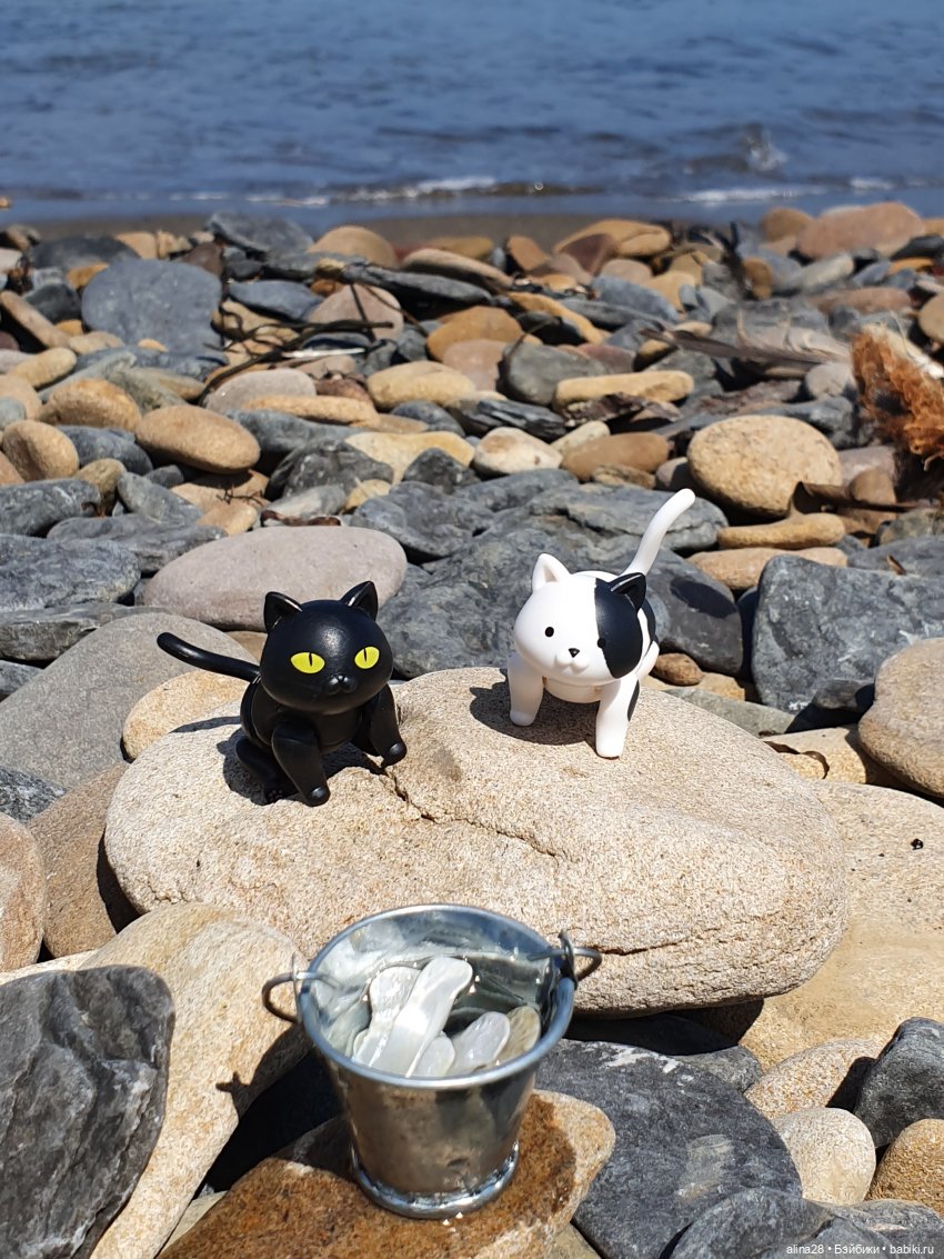 История одной рыбалки, двух котов, не считая рыбака