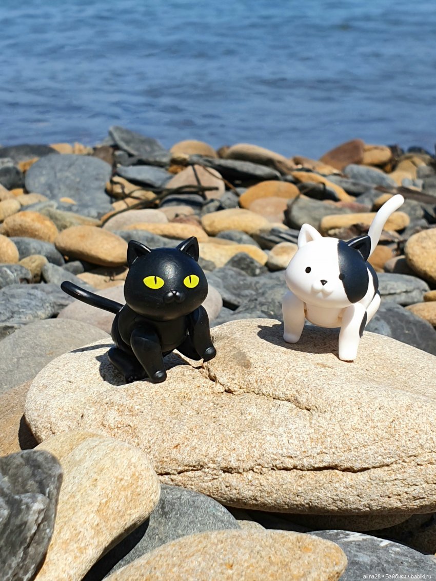 История одной рыбалки, двух котов, не считая рыбака