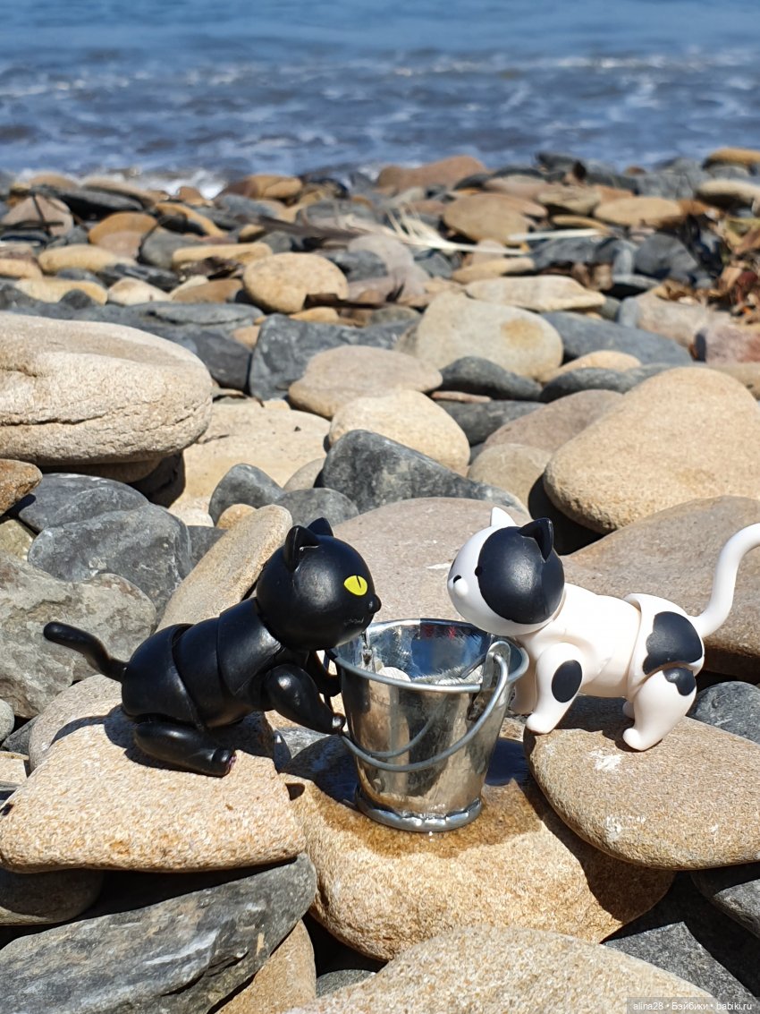 История одной рыбалки, двух котов, не считая рыбака