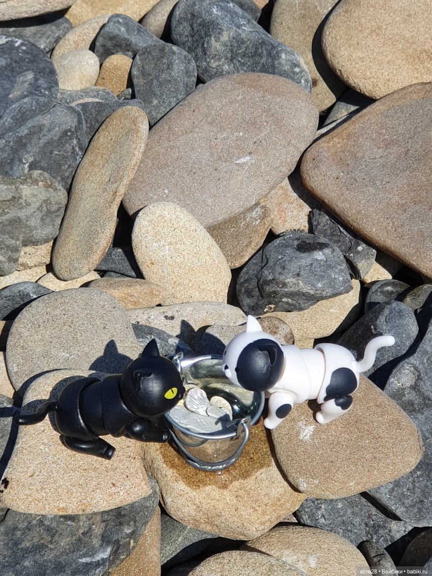 История одной рыбалки, двух котов, не считая рыбака