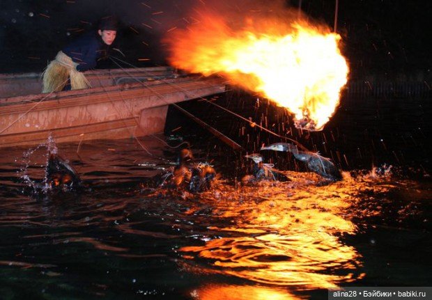 История одной рыбалки, двух котов, не считая рыбака (фото 2)