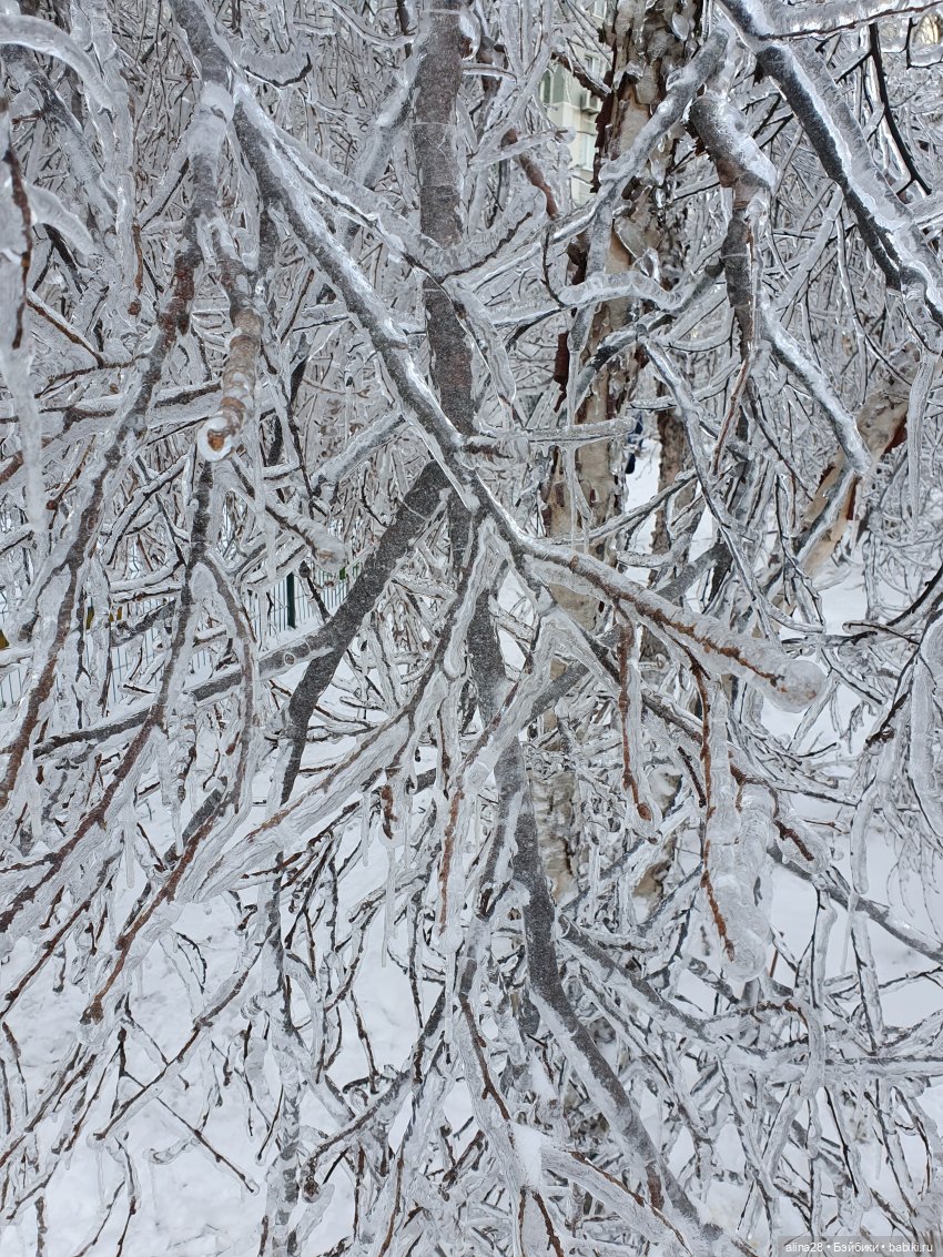 Ледяной дождь или как в наш город приходил Морозко (фото 4)