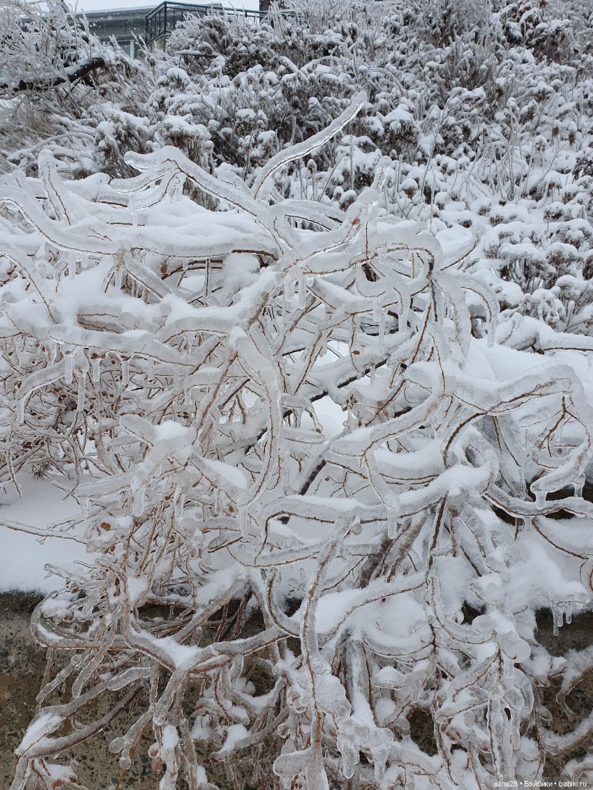 Ледяной дождь или как в наш город приходил Морозко (фото 8)