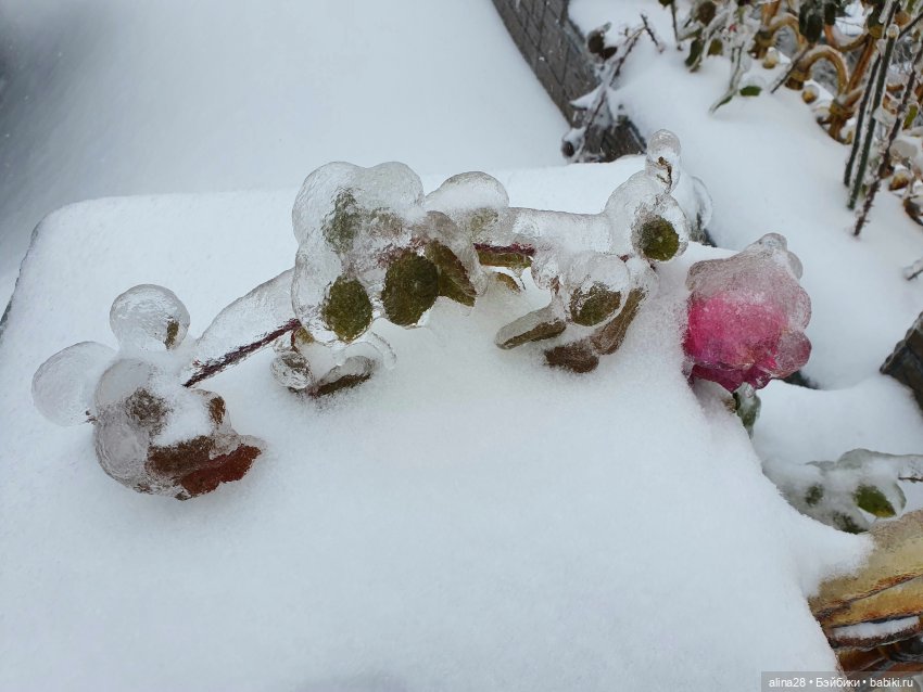 Ледяной дождь или как в наш город приходил Морозко