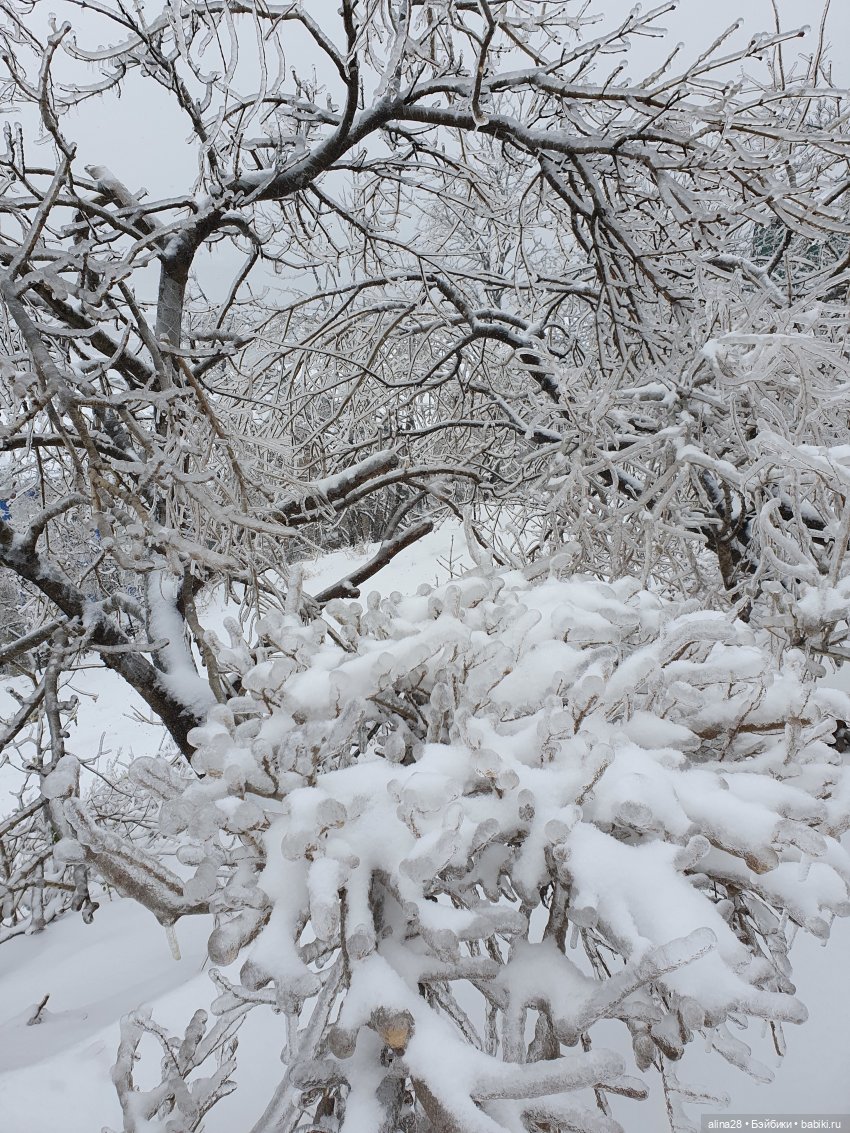 Ледяной дождь или как в наш город приходил Морозко (фото 9)