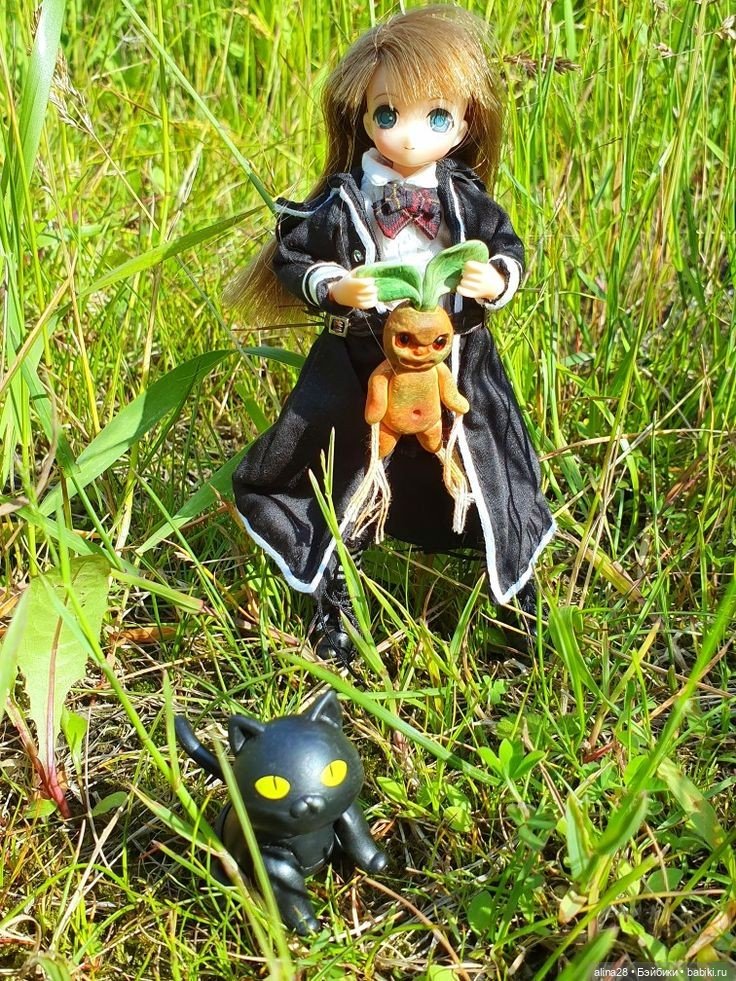 Как Юми путешествовала во времени (фото 3)