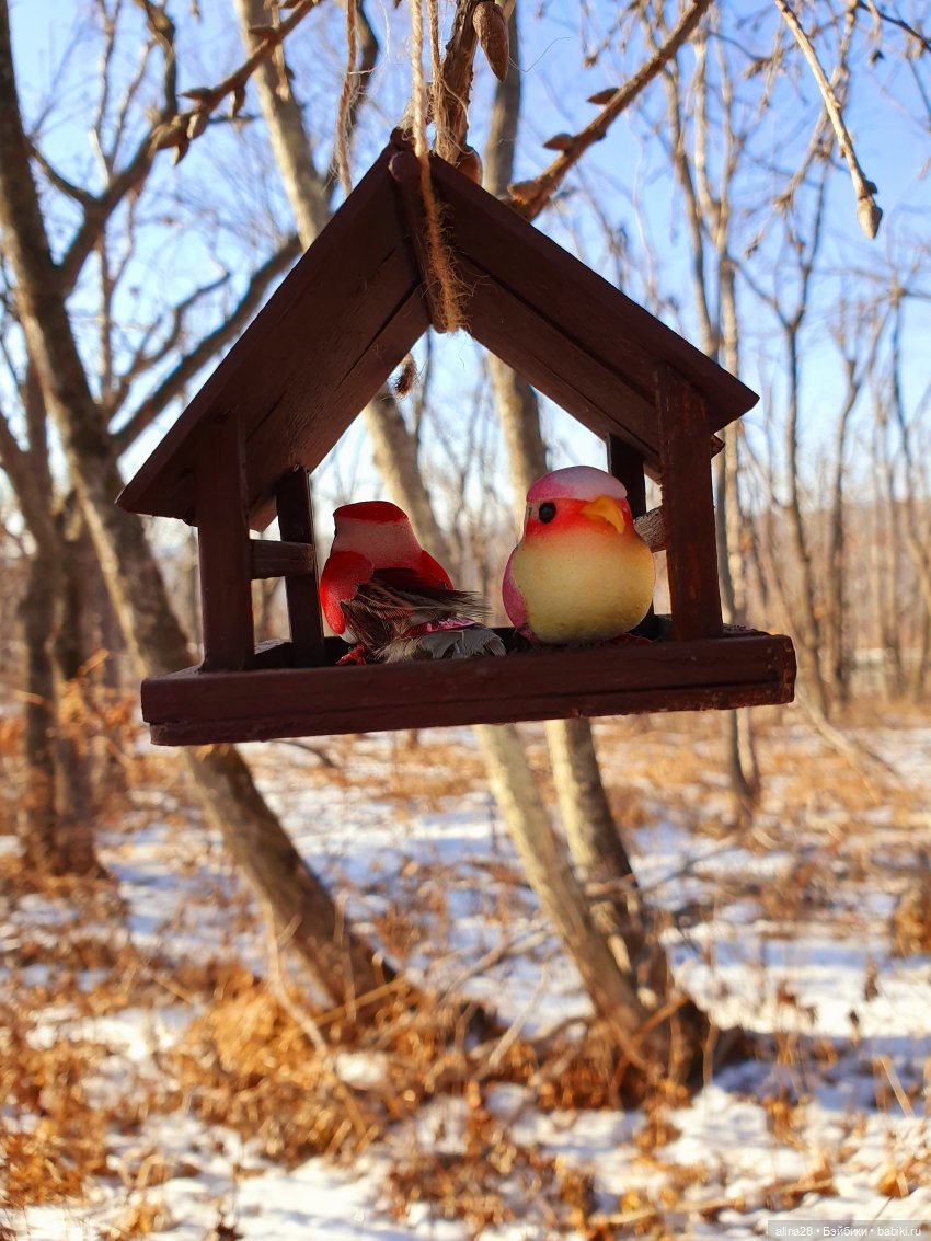 Как Мизуки Рождественским эльфом работала