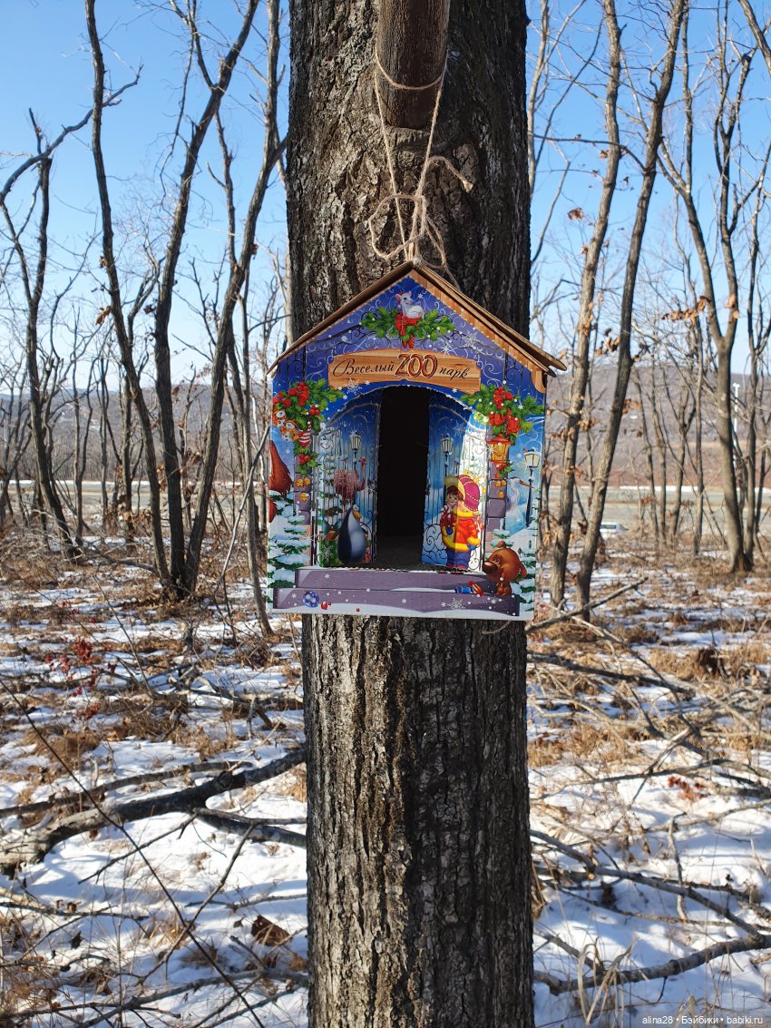 Как Мизуки Рождественским эльфом работала