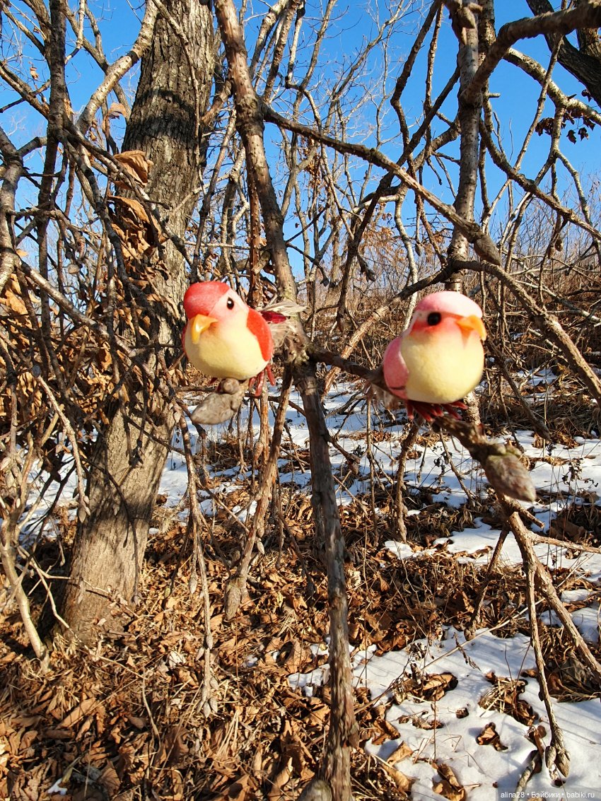 Как Мизуки Рождественским эльфом работала