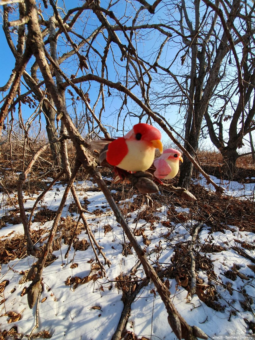 Как Мизуки Рождественским эльфом работала