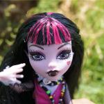 Встречайте, Дракула!