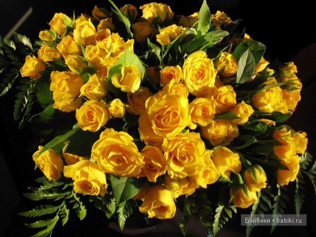 Аланна и Ангелика