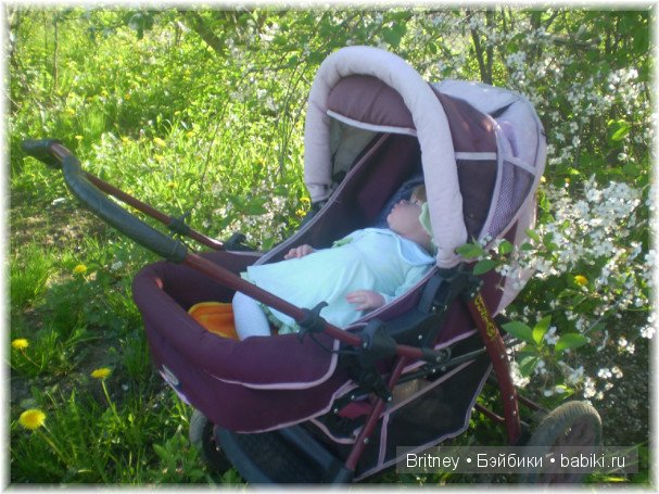 День на даче! Кукла реборн Розалия (фото 3)