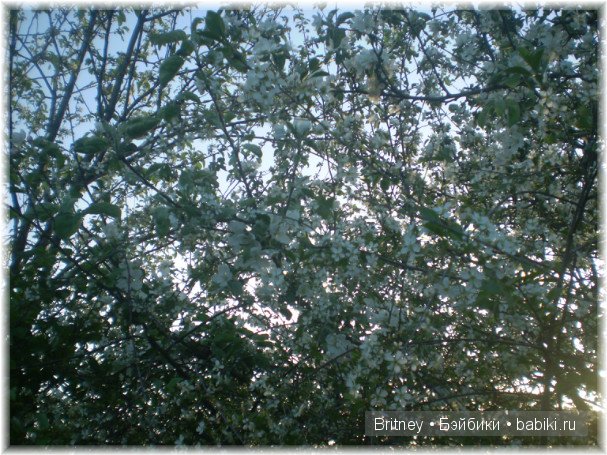 День на даче! Кукла реборн Розалия