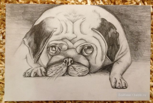 Много новых работ — Другие хобби и увлечения: сад (фото 3)