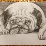 Много новых работ!