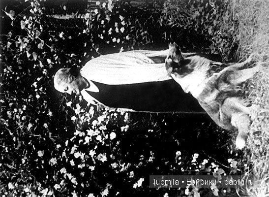 Великая и незабываемая Фаина Раневская (фото 7)