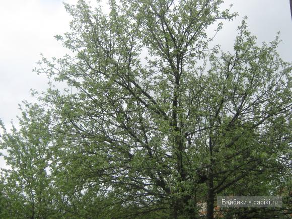 Мои первые вязалочки на кукол