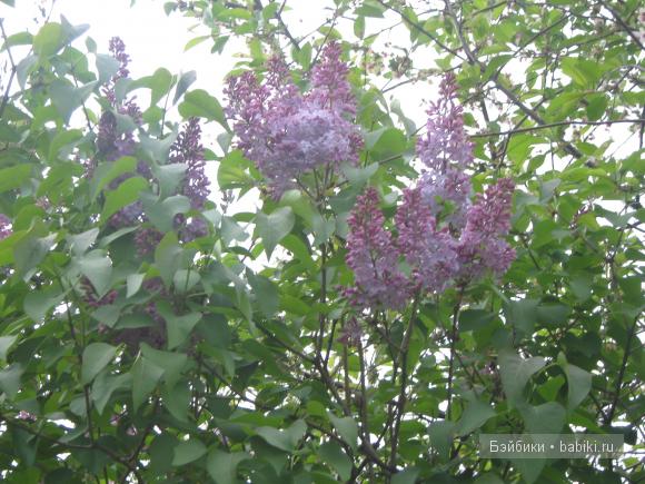 Мои первые вязалочки на кукол