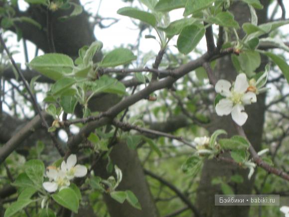 Мои первые вязалочки на кукол