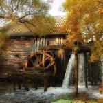 Живописный уголок Курского края - Последняя водяная мельница.