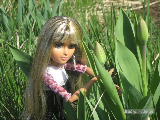 Открываем дачный сезон